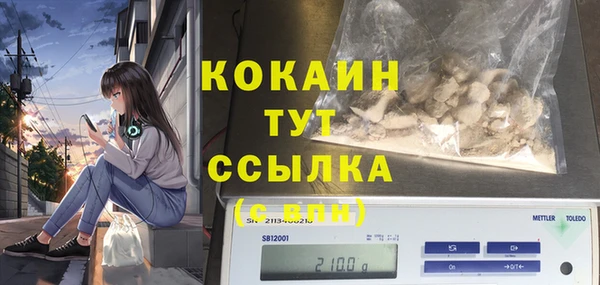 таблы Михайлов