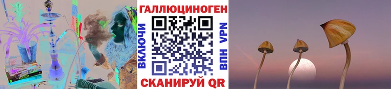 цена наркотик  Холм  Галлюциногенные грибы Psilocybine cubensis 